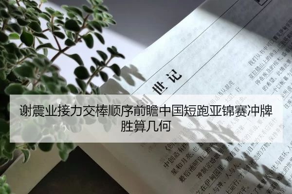 谢震业接力交棒顺序前瞻中国短跑亚锦赛冲牌胜算几何