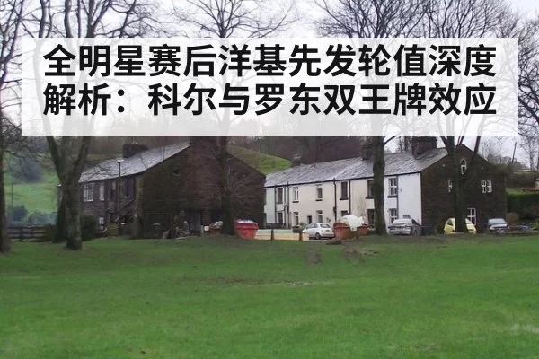 全明星赛后洋基先发轮值深度解析：科尔与罗东双王牌效应