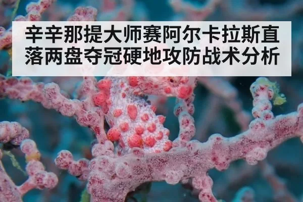 辛辛那提大师赛阿尔卡拉斯直落两盘夺冠硬地攻防战术分析