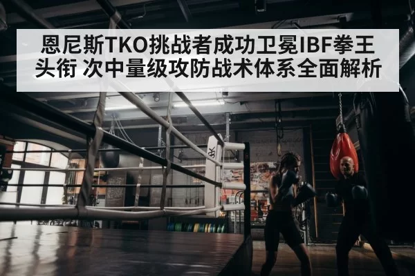 boxer training